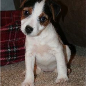 Meet your Posher, Ann